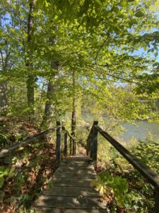 Steps down to the river